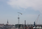 В Орле создано собственное НП, первый шаг к формированию регионального СРО в строительстве: читать другие актуальные новости о СРО на информационном портале «Всё о саморегулировании».